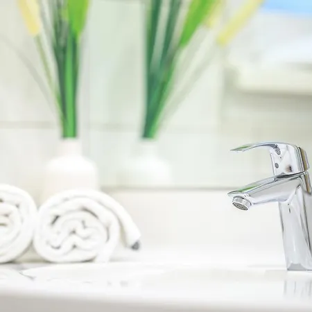 Ennshaeusl By Schladming-appartements