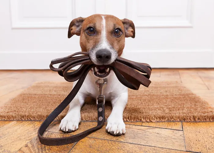 度假居 Ennshaeusl By Schladming-appartements 斯拉德明